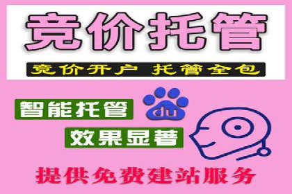 某科技公司的信息流广告投放策略与效果评估